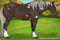 Horse Color:White Spotted Silver Brown Tobiano