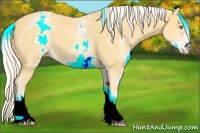 Horse Color:White Spotted Gold Cream Champagne