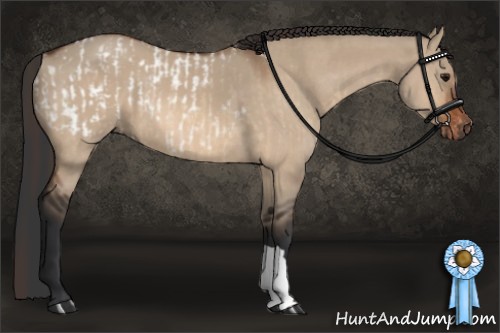 Horse Color:Bay Dun Appaloosa Rabicano  and Brown Dun 