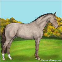 Horse Color:Classic Champagne Roan 