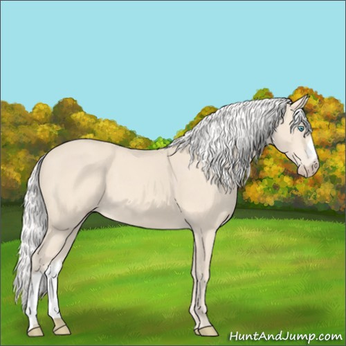 Horse Color:Silver Perlino 