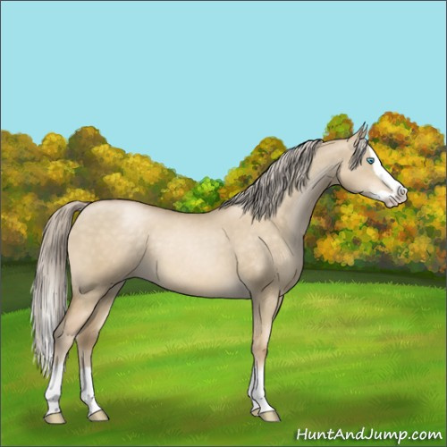 Horse Color:Chocolate Palomino Pearl Dun Splash