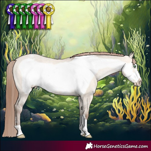 Horse Color:Amber Champagne Dun Frame Varnish