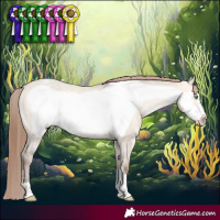 Horse Color:Amber Champagne Dun Frame Varnish