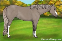 Horse Color:Silver Grullo 