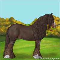 Horse Color:Liver Chestnut Sabino