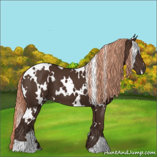 Horse Color:White Spotted Liver Chestnut 