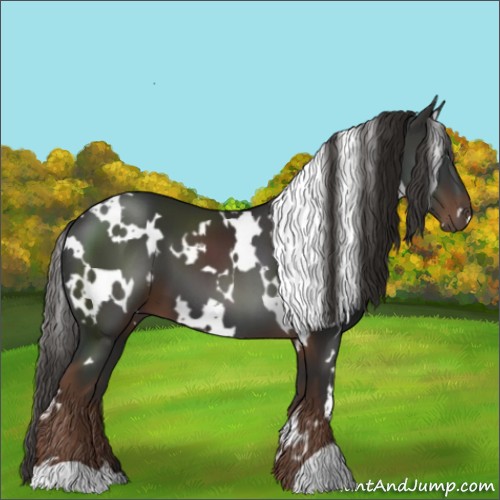 Horse Color:White Spotted Liver Chestnut 