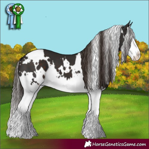 Horse Color:White Spotted Liver Chestnut Splash 