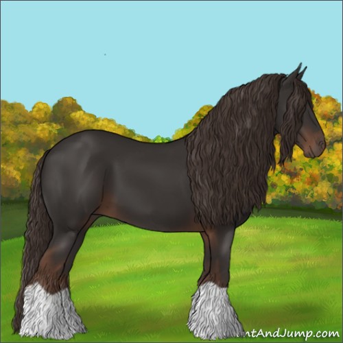 Horse Color:Liver Chestnut 