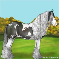 Horse Color:White Spotted Liver Chestnut Splash 