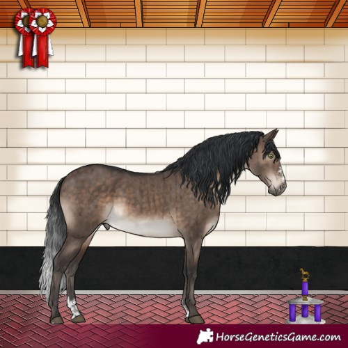 Horse Color:Brown Dun Mushroom Sabino Brindle