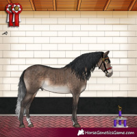 Horse Color:Brown Dun Mushroom Sabino Brindle