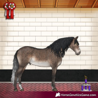 Horse Color:Brown Dun Mushroom Sabino Brindle