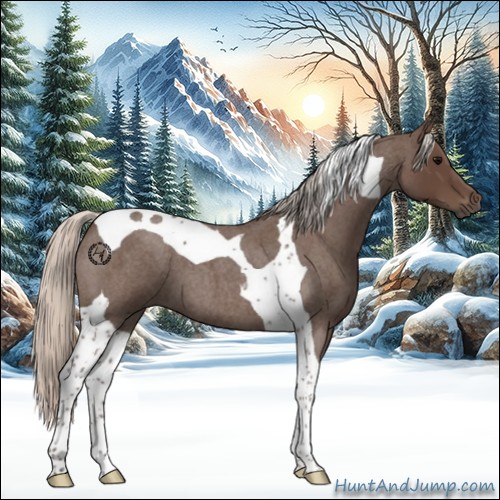 Horse Color:Silver Blue Roan Tobiano 