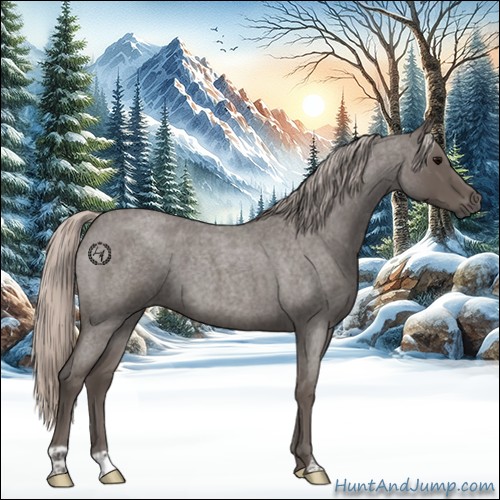 Horse Color:Silver Blue Roan 