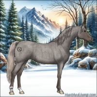 Horse Color:Silver Blue Roan 