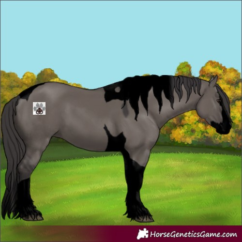 Horse Color:Void Smoky Grullo Splash Tobiano 