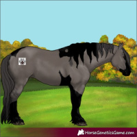Horse Color:Void Smoky Grullo Splash Tobiano