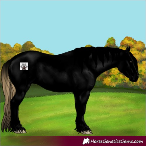 Horse Color:Void Smoky Grullo Roan Sabino Splash Blanket 