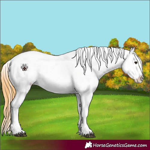 Horse Color:Smoky Grullo Sabino Splash Varnish 