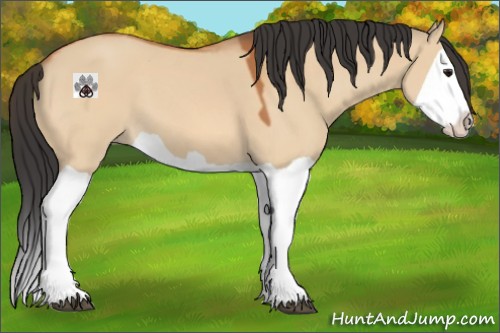 Horse Color:Bay Dun Splash 