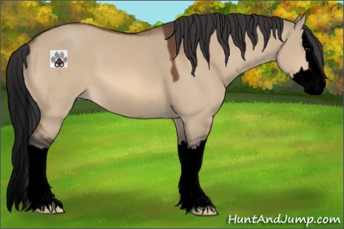 Horse Color:Void Bay Dun Sabino Splash