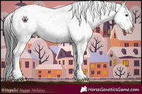 Horse Color:Smoky Grullo Sabino Splash