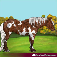 Horse Color:White Spotted Silver Bay Ice 