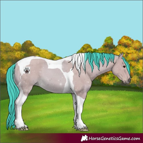 Horse Color:Watercolor Buckskin Tobiano 