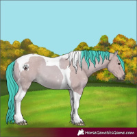 Horse Color:Watercolor Buckskin Tobiano 