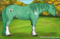 Horse Color:Watercolor Black 