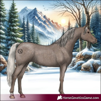 Horse Color:Silver Blue Roan