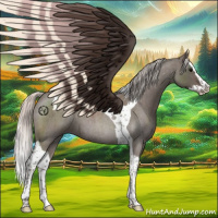 Horse Color:Silver Blue Roan Splash Tobiano 