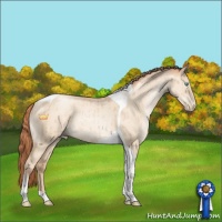 Horse Color:Sable Champagne Pearl Dun Tobiano Brindle 