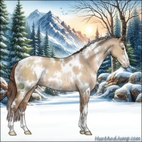 Horse Color:White Spotted Brown Pearl Dun Sabino