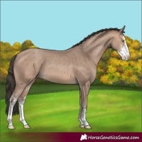 Horse Color:Sable Champagne Sabino