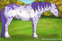 Horse Color:Watercolor Black Ice Frame