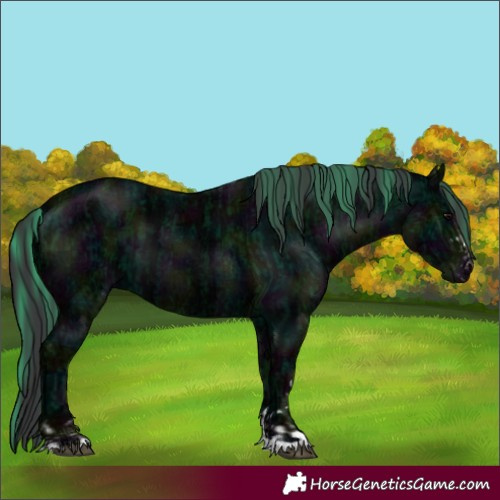 Horse Color:Watercolor Midnight Black Ice  and Midnight Black Ice 