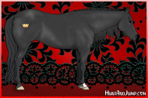 Horse Color:Black Sabino