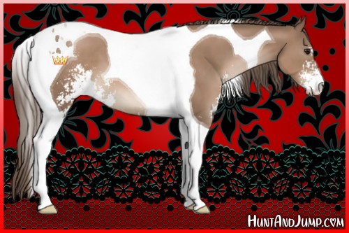 Horse Color:Black Pearl Sabino Tobiano