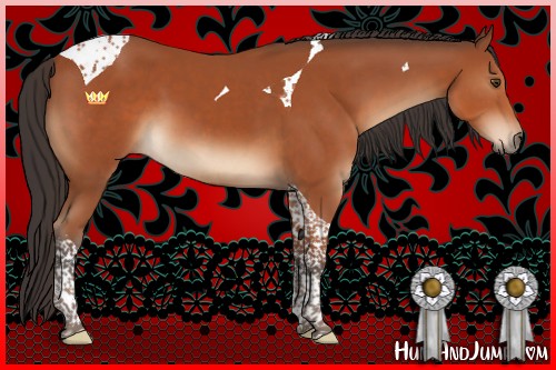 Horse Color:Bay Tobiano 