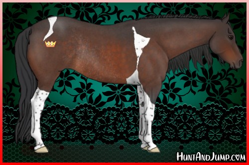 Horse Color:Bay Roan Tobiano Rabicano