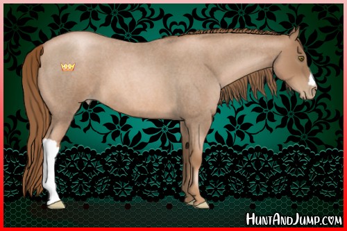 Horse Color:Liver Red Roan Pearl 