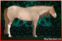 Horse Color:Liver Red Roan Pearl 