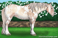 Horse Color:White Spotted Silver Classic Champagne Ice Onyx