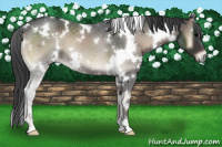 Horse Color:White Spotted Blue Onyx 