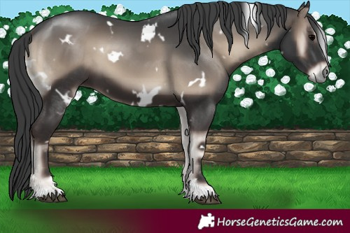 Horse Color:White Spotted Blue Onyx 
