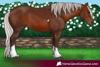 Horse Color:Silver Brown Tobiano 