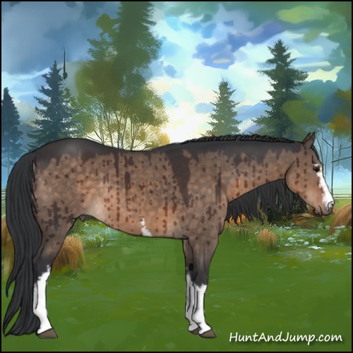 Horse Color:White Spotted Brown Dun Rabicano Brindle